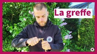 Comment greffer un arbre fruitier [upl. by Jeannine]