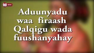 XABIIBO XASAN TOOXOW HEES ADUUN LYRICS [upl. by Cony651]