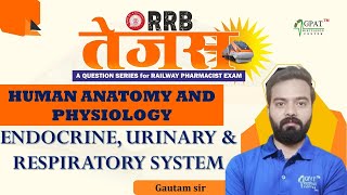 ENDOCRINE URINARY amp RESPIRATORY SYSTEM  RRB TEJASRAILWAY PHARMACIST  HAP railwaypharmacist rrb [upl. by Yregerg]