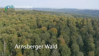 Arnsberger  Wald Naturschätze Südwestfalens [upl. by Mann]