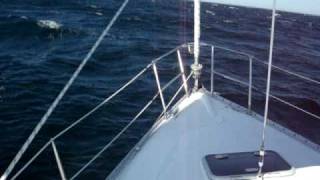 Fast Sailing Beneteau 331 Nepenthe to Provincetown [upl. by Asillem]