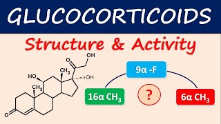 Glucocorticoids  Structure and activity [upl. by Nivalc]