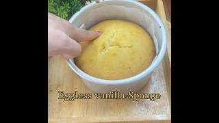 Super moist and spongy Vanilla sponge recipecake newrecipe baking shorts ytshortsindia [upl. by Naujak]