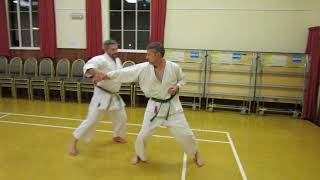 Goju Ryu Karate  Partner Drills [upl. by Sankaran]