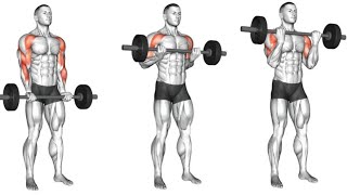 Barbell Exercises The Ultimate Guide for Muscle Growth [upl. by Paradies487]