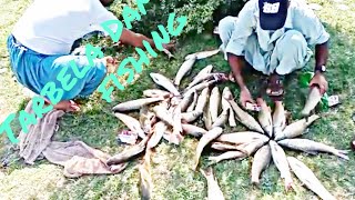 Fishing in River and Tarbela Dam [upl. by Suckram281]