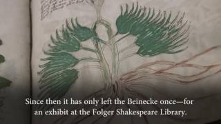 What We Know About the Voynich Manuscript [upl. by Allerbag]