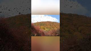 Amazing place earth 🌎 😱part 2 place treavel shortvideoexplore neture [upl. by Tatiana]