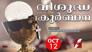 HOLY MASS LIVE  6 AM 12 OCT 2023Fr Alex Chalangady VCMALAYALAM QURBANATODAY MASSGOODNESS TV [upl. by Ettenauq195]