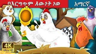 በእርግጥም እውነት ነወ  Its Quite True Story in Amharic  Amharic Fairy Tales [upl. by Jacquie]