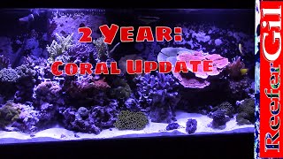 75 Gallon Saltwater Reef Aquarium 2 Year Coral Update [upl. by Frants331]