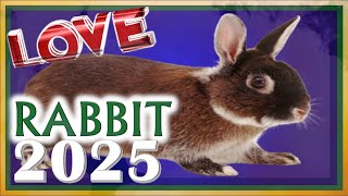 Rabbit Horoscope 2025  Love  Born 2023 2011 1999 1987 1975 1963 1951 1939 [upl. by Ackerley]