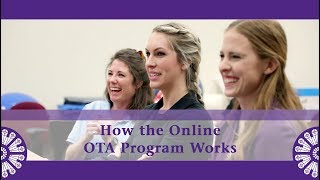 How the Online OTA Program Works at St Catherine University [upl. by Adriell509]