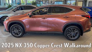 Pohanka Lexus of Chantilly 2025 NX 350 Copper Crest Walkaround Chantilly Dale City VA DC [upl. by Manouch986]