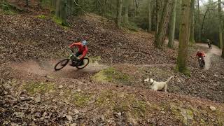 The Forest of Dean Blue graded Verderers Mountain Bike Trail  Pedalabikeaway Official Trailer [upl. by Aeiram]