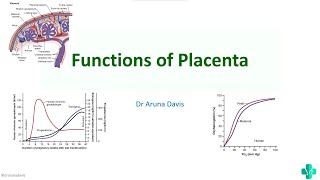 Functions of Placenta amp fetoplacental unit with mcq questionsMBBS First Year Physiology [upl. by Jentoft]