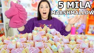 MISCHIO 5 MILA MARSHMALLOW per fare MARSHMALLOW GIGANTE [upl. by Jesher853]