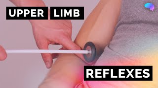 Reflexes of the Upper Limbs  OSCE Clip  UKMLA  CPSA [upl. by Lamond]