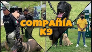 Así es un entrenamiento canino de la fuerza civil COMPAÑÍA K9 [upl. by Grissom]