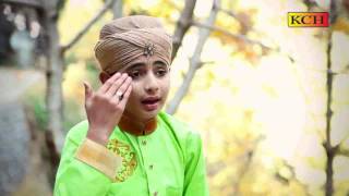 New Urdu Naat Sharif 2017 Millad Album  Shakeel Sindhu [upl. by Luapleahcim578]