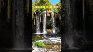 Zen Yoga amp Relaxation Music Nature Sounds [upl. by Nnayelhsa]