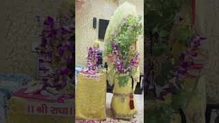 Tulsi Vivah Geet  तुलसी विवाह गीत  tulsi tulsivivah tulsipooja geet krishna तुलसी bhajan [upl. by Ruff]