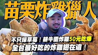 苗栗炸雞獵人！不只大湖採草莓！！全台最好吃的炸雞翅叫安泰？！耕牛園炸雞50元吃爆啦！ [upl. by Ynamrej]