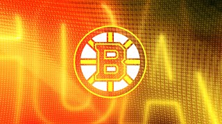 Boston Bruins 2025 Goal Horn 🚨 [upl. by Annaeg]