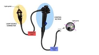 Endoscope Technology TheoryLesson 3Endoscope Parts [upl. by Ekusoyr45]