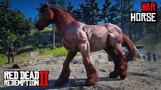 5 Best War Horses You Must OWN Location amp Rankings  RDR 2 [upl. by Ileak586]