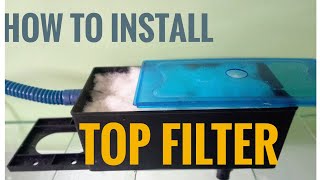 Top Filter Aquarium setup  aquarium fishtank aquariumfilter [upl. by Eicrad]