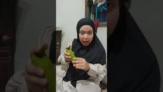 lagi makan semangka semangka lucu makanbuah funny shorts videoshort [upl. by Shatzer958]