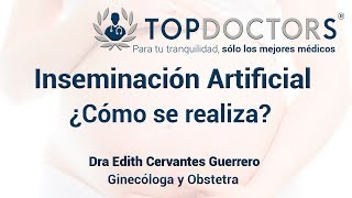 Inseminación Artificial – ¿Cómo se realiza ¿Qué técnicas usan [upl. by Leora]