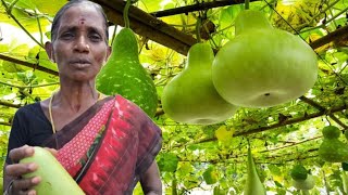 quotNamma Patti Sorakkai Payasam A Traditional Bottle Gourd Dessertquot trending cooking [upl. by Ardeha]