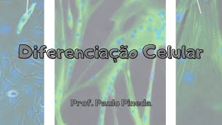 Citologia  Diferenciação celular [upl. by Snowber]