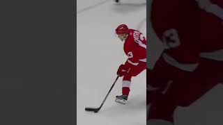 Pavel Datsyuk Highlights and moments  Michigan goal  ankles broken [upl. by Kalil]