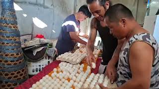 breeding seasons 650 eggs from JB Game Farm gamefowl gamefowlbreeder polomolok [upl. by Birdella]