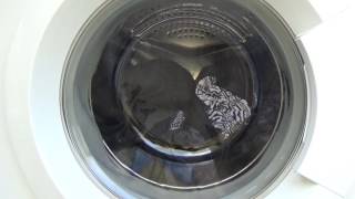 Currys Essentials C510WM13 Quick Wash Intense [upl. by Rehpotsrhc854]