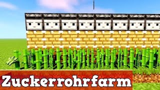 Wie baut man eine zuckerrohrfarm in Minecraft Tutorial [upl. by Geordie]