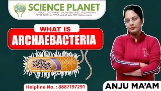 What is ARCHAEBACTERIA by Anju Mam Science Planet Biology archaebacteria [upl. by Chelsea137]