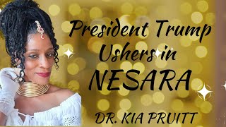 President Trump will initiate NESARA [upl. by Angell383]