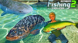 Major Update  NEW Water Physics and Fish Stamina  Beached Shark  Ultimate Fishing Simulator 2 [upl. by Sunday83]