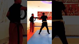 filipino martial arts  arnis  kali working on basic flow drill [upl. by Ailic]