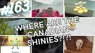 Vlog 163 WHERE ARE THE CANADIAN SHINIES [upl. by Straub457]