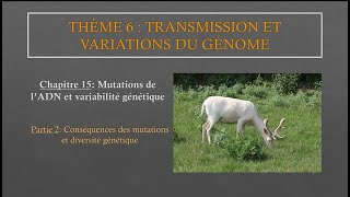 Chapitre 15  Partie 2 Conséquences des mutations et diversité génétique [upl. by Cudlip]