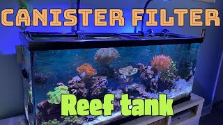 Simple Saltwater Tank w Canister filter [upl. by Newkirk]