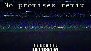 no promises remix [upl. by Alboran]