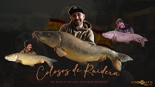 CARPFISHING COLOSOS DE RUIDERA [upl. by Amadis238]