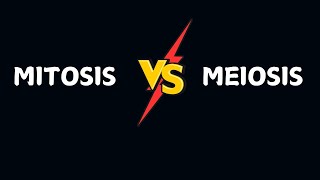 Mitosis vs Meiosis  Difference  UrduHindi [upl. by Kare]