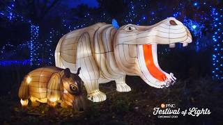 PNC Festival of Lights and Happy Holidays  Cincinnati Zoo [upl. by Tips]